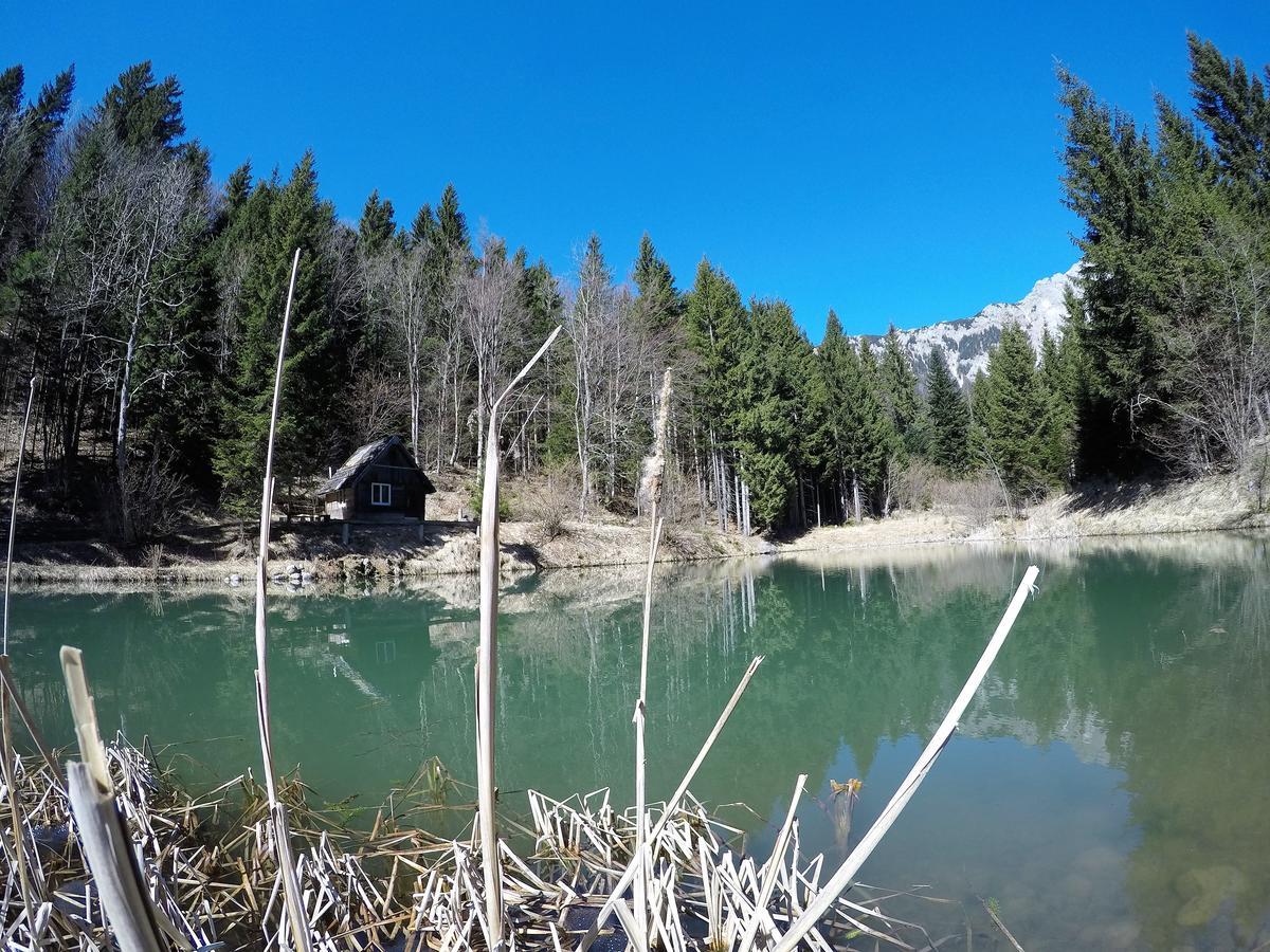 Karami Mountainhouse Bed and Breakfast Tržič Exteriör bild